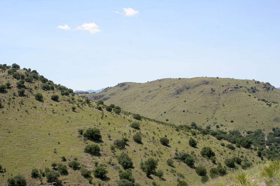 Landscape