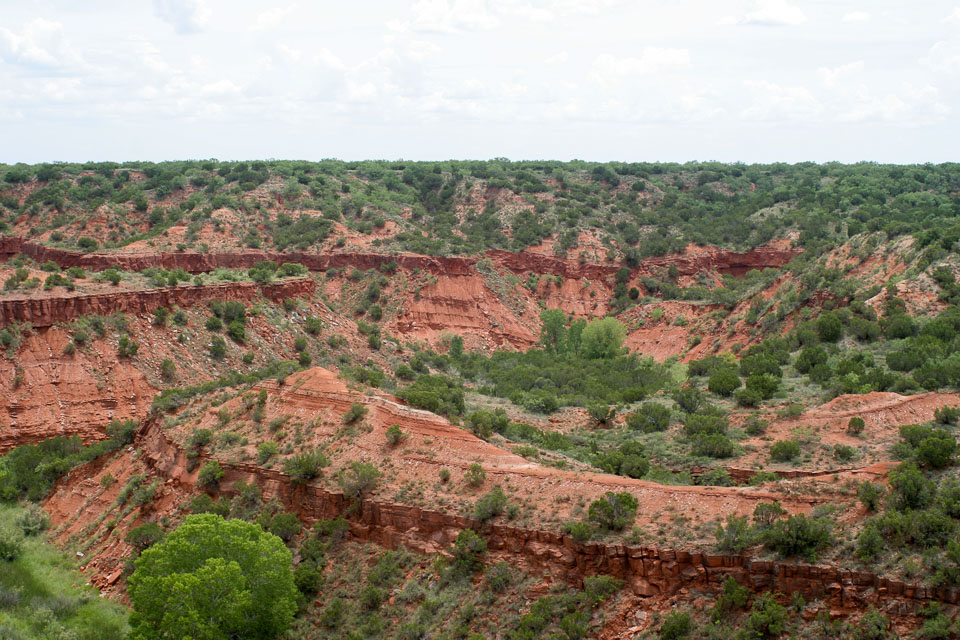 Landscape